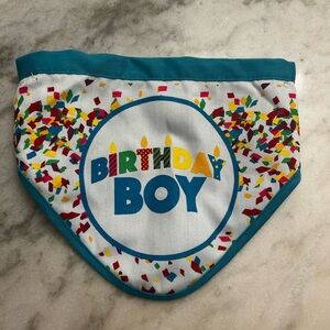 Birthday Boy Confetti Dog Bandana - Reversible